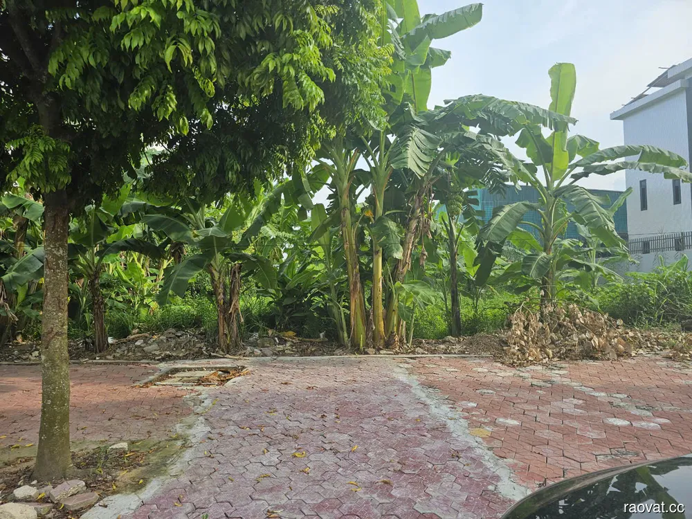 Cần bán lô đất thuộc khu đô thị phía Tây cầu Phú Lương, phường Nhị Châu, Hải Dươ