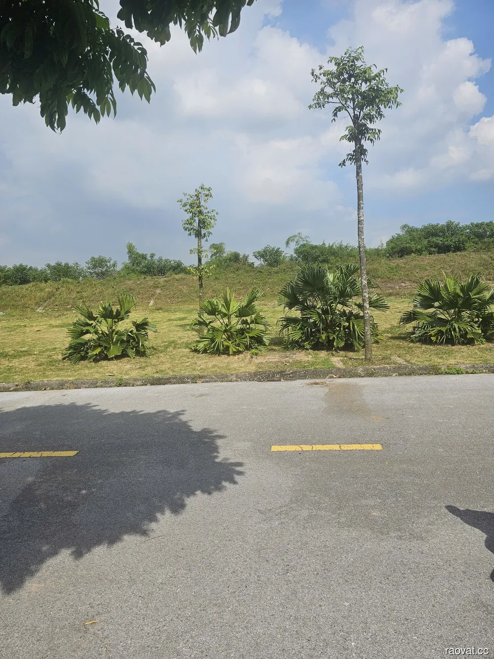Cần bán lô đất đẹp tại KĐT phía Tây cầu Phú Lương, phường Nhị Châu, Hải Dương.