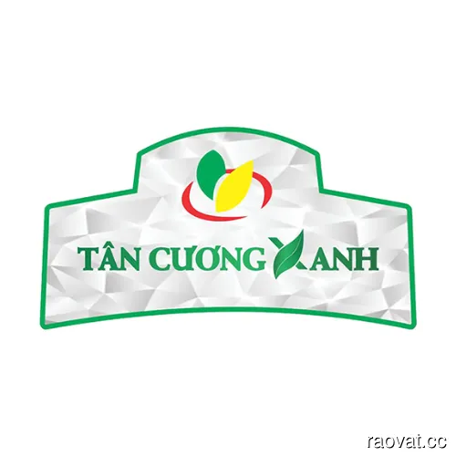 Trà Thái Nguyên – Tinh Hoa Văn Hóa Trà Việt
